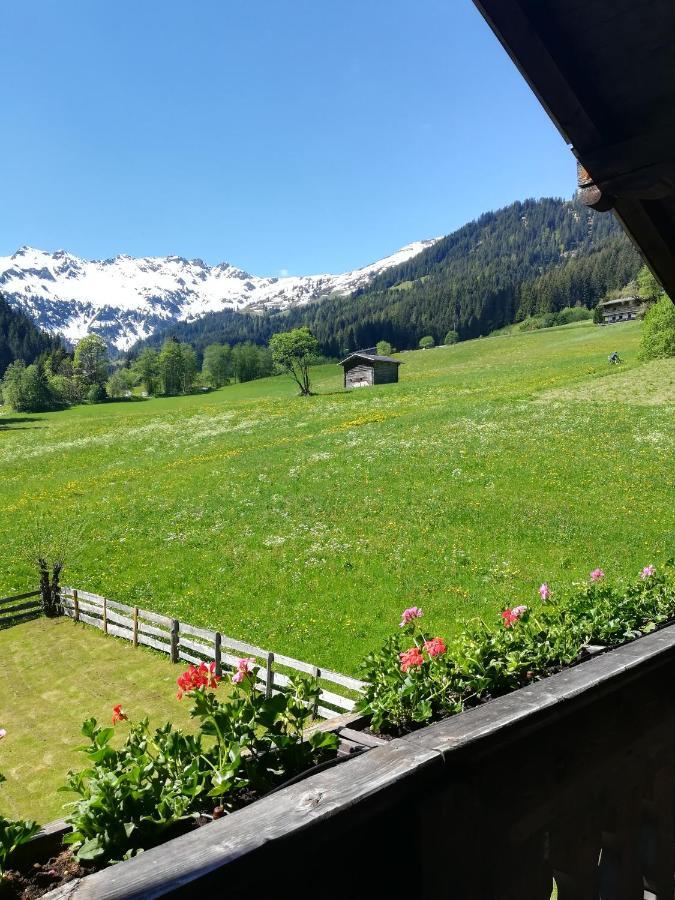 Appartamento Hacklstoana Alpbach Esterno foto